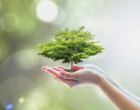 Der Umwelt zuliebe – Hygiene und Umweltschutz gehen Hand in Hand