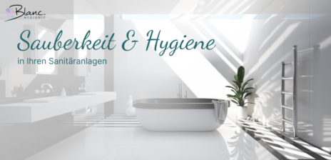 So halten Sie Ihre Sanitäranlagen sauber und hygienisch