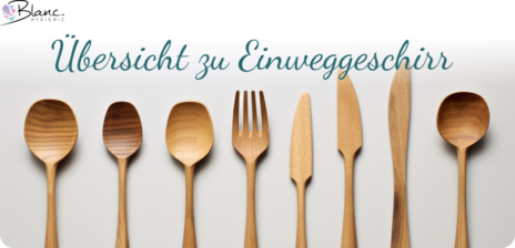 Einweggeschirr Übersicht