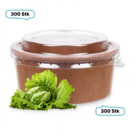 SET: Salatboxen Salatschalen braun 750ml + RPET Deckel, 300 Stück, to go, take away, biologisch abbaubar, Kraftpapier+ PLA