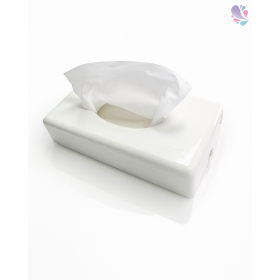 Kosmetiktuchspender FUTURA in Edelstahl & Weiß, Füllkapazität: 100 Blatt, für Wandmontage geeignet, Spender für Kosmetiktücher