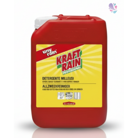 Profi-Power Allzweckreiniger Konzentrat, 1 x 10 l Kanister, für alle Oberflächen und Böden, hochwirksam