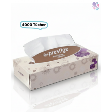 Kosmetiktücher, 2-lagig, 40 Boxen, 4000 Tücher gesamt, 100Blatt /Box, 100% Zellstoff, 21x21cm