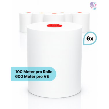 Handtuchrollen 6 Rollen je SET, 2-lagig, 100m je Rolle, 100% TAD-Qualität, für Cosmos Handtuchspender