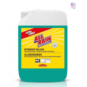 Alkalischer Profi-Allzweckreiniger Hochkonzentrat, 10 Liter Kanister, für alle waschbaren Oberflächen, Vorteilspack