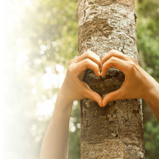 Umwelt & Nachhaltigkeit